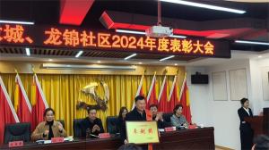 盛世新天地物業榮獲2024年社區表彰大會獎項